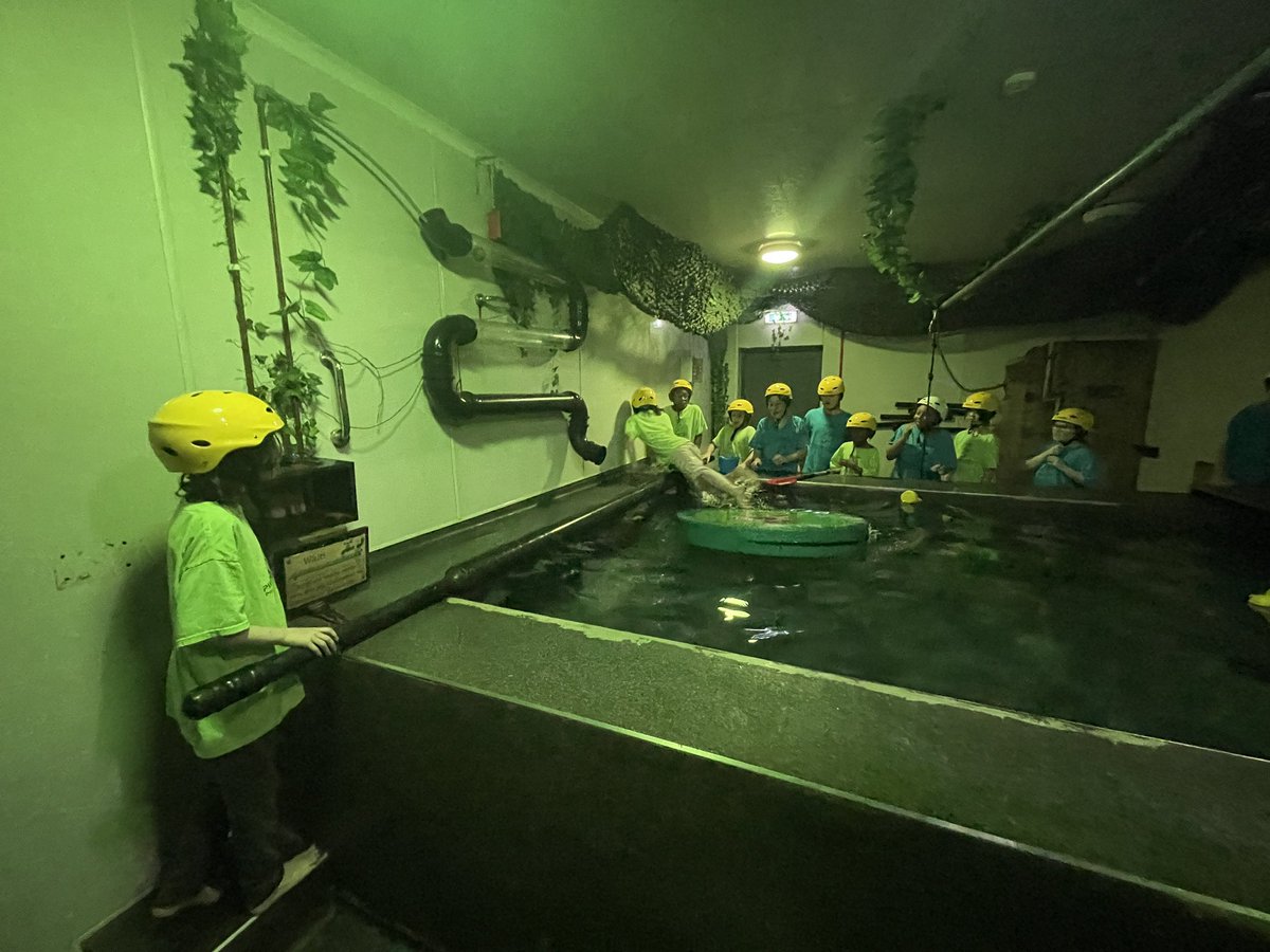 StAlphonsusRCPS's tweet photo. Piranha pool! https://t.co/RaHPZyfS3w