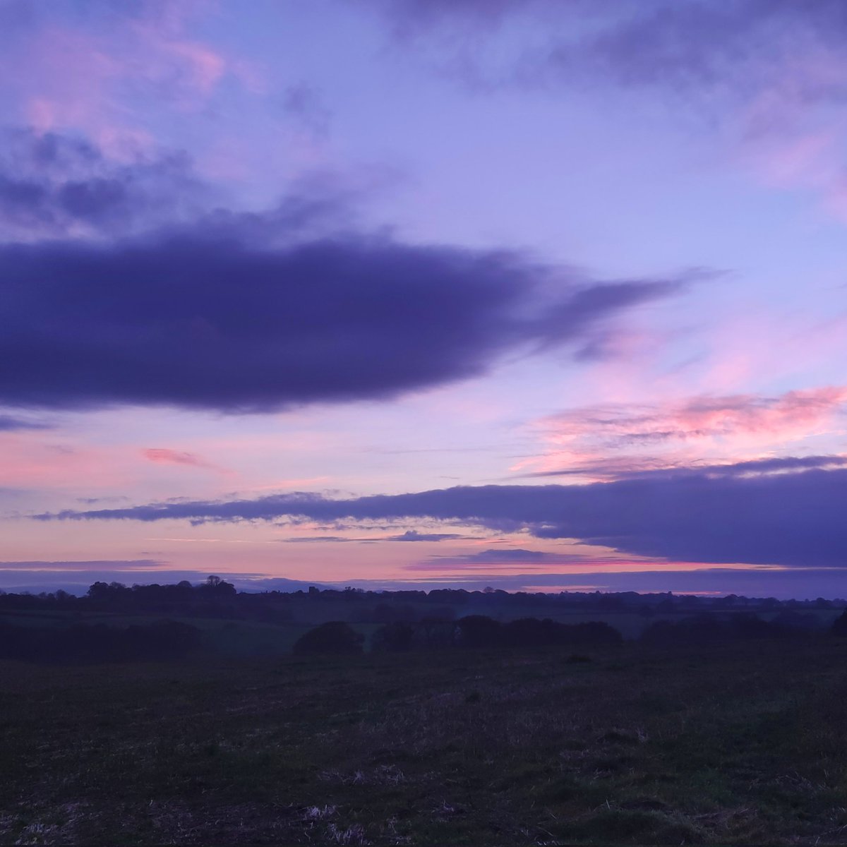 Golden Thread tweet media