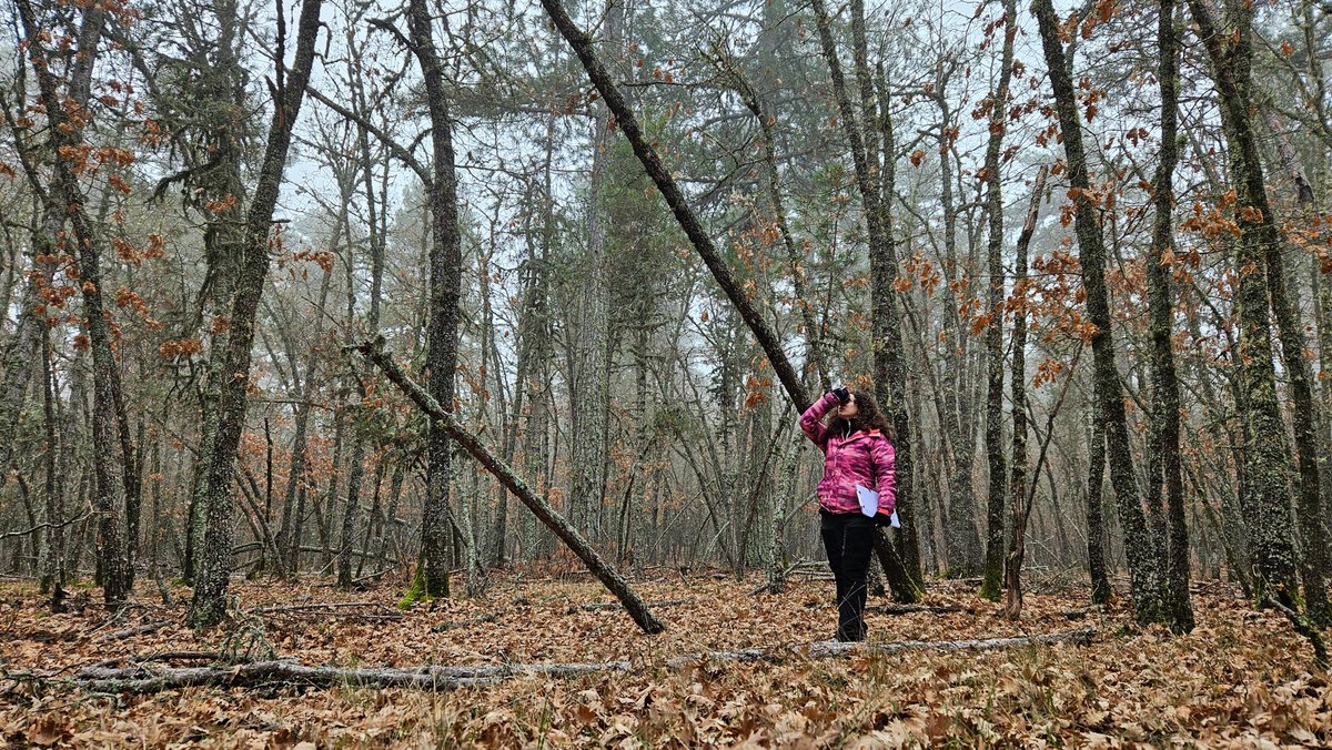 bioforestURJC's tweet photo. Fotos de nuestra compañera Viki del #RíoCuervo y alrededores, donde las compañeras del proyecto han estado terminando los últimos muestreos de la zona @pSerraniaCuenca  #ProyectosPRTR #NextGenerationEU #bosques #biodiversidad https://t.co/V5Ew3huFGK