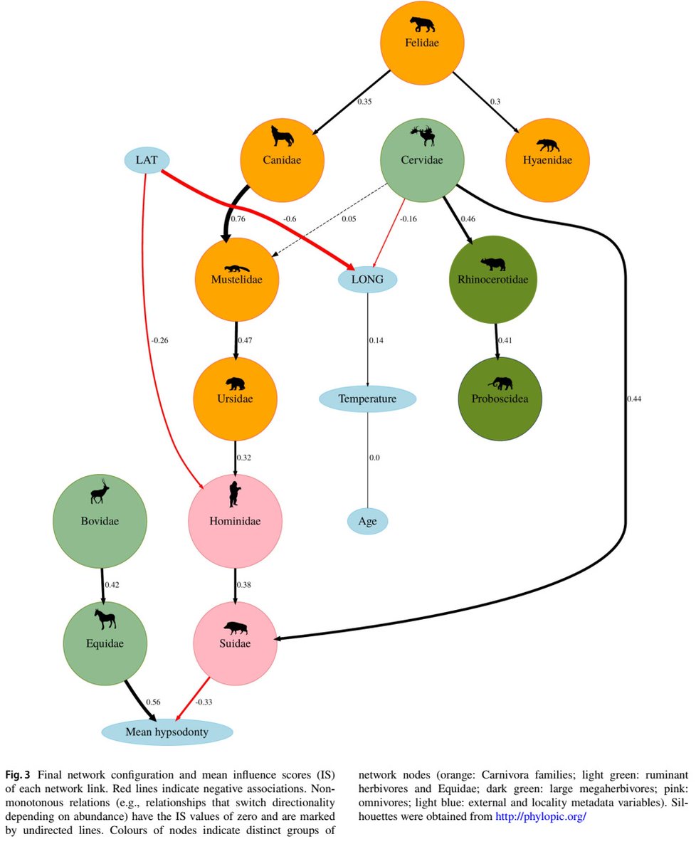Basically what we've found are the conditional probabilities of factors which hierarchically influece the geographical occurence patterns of mammals. E.g. occurrence of cats positively influenced the probability of finding dogs, which in turn jointly influenced mustelids 2/n