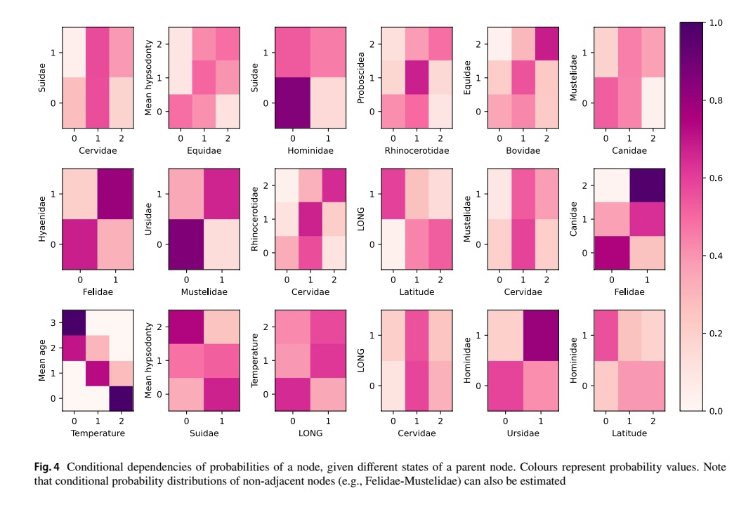 You can use the basic transition probabilities to for example prognose the dependencies of mammalian families on other families, as well as on abiotic factors such as longitudes or latitudes of their finds.
3/n