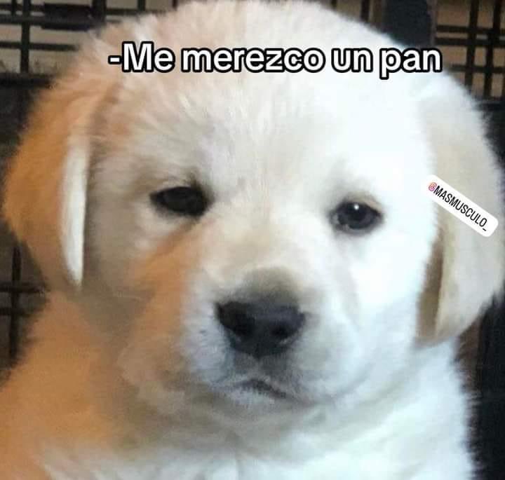 Anamrecio's tweet photo. Ayer después de la corrida que se echó peter atrás del carro https://t.co/CV8cjGW2kr