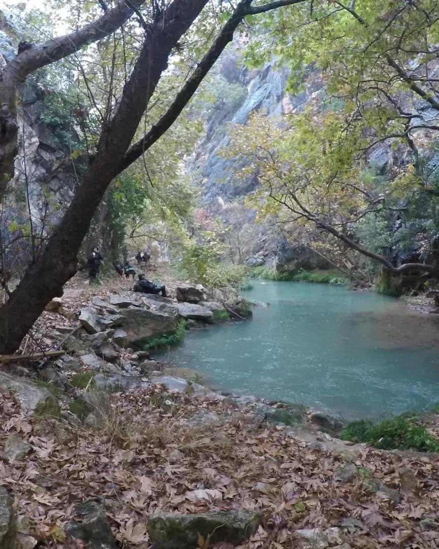 Lebanon is devastatingly beautiful. That’s what all the Israeli soldiers coming home say. What we would give for a world where we could hike the forests of Lebanon or tour the ancient temples of Iran. A world where we would be welcome by our neighbors. It is a distant dream.