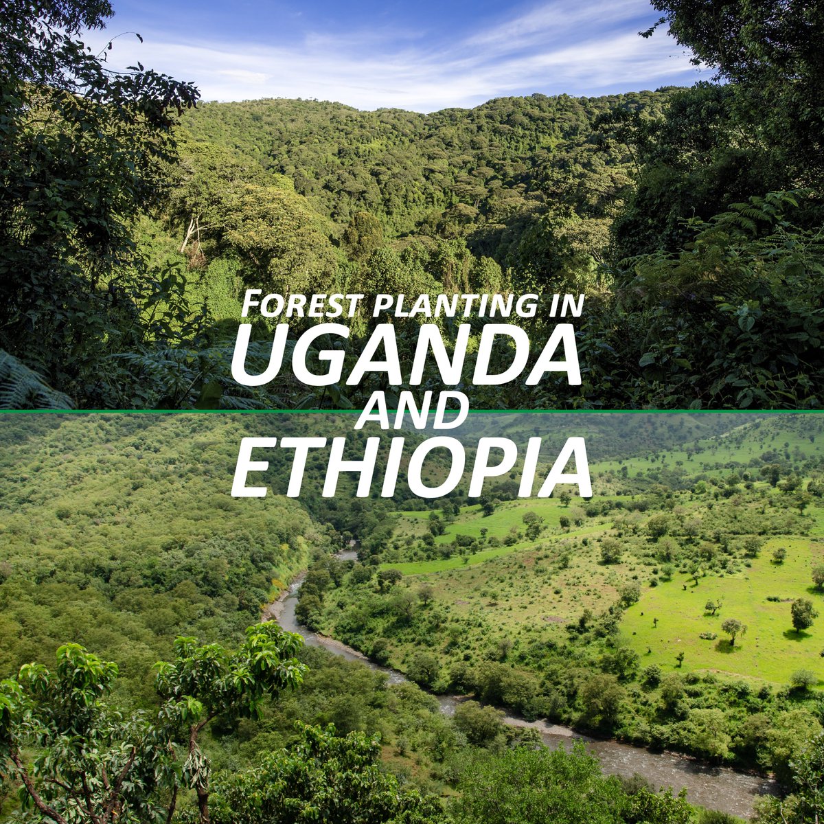 Crane Electronics tweet media