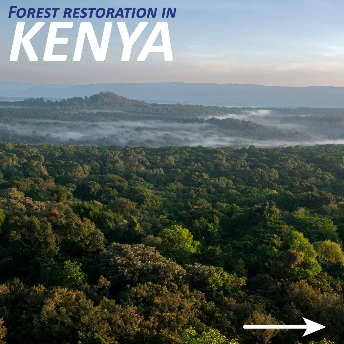 Crane Electronics tweet media