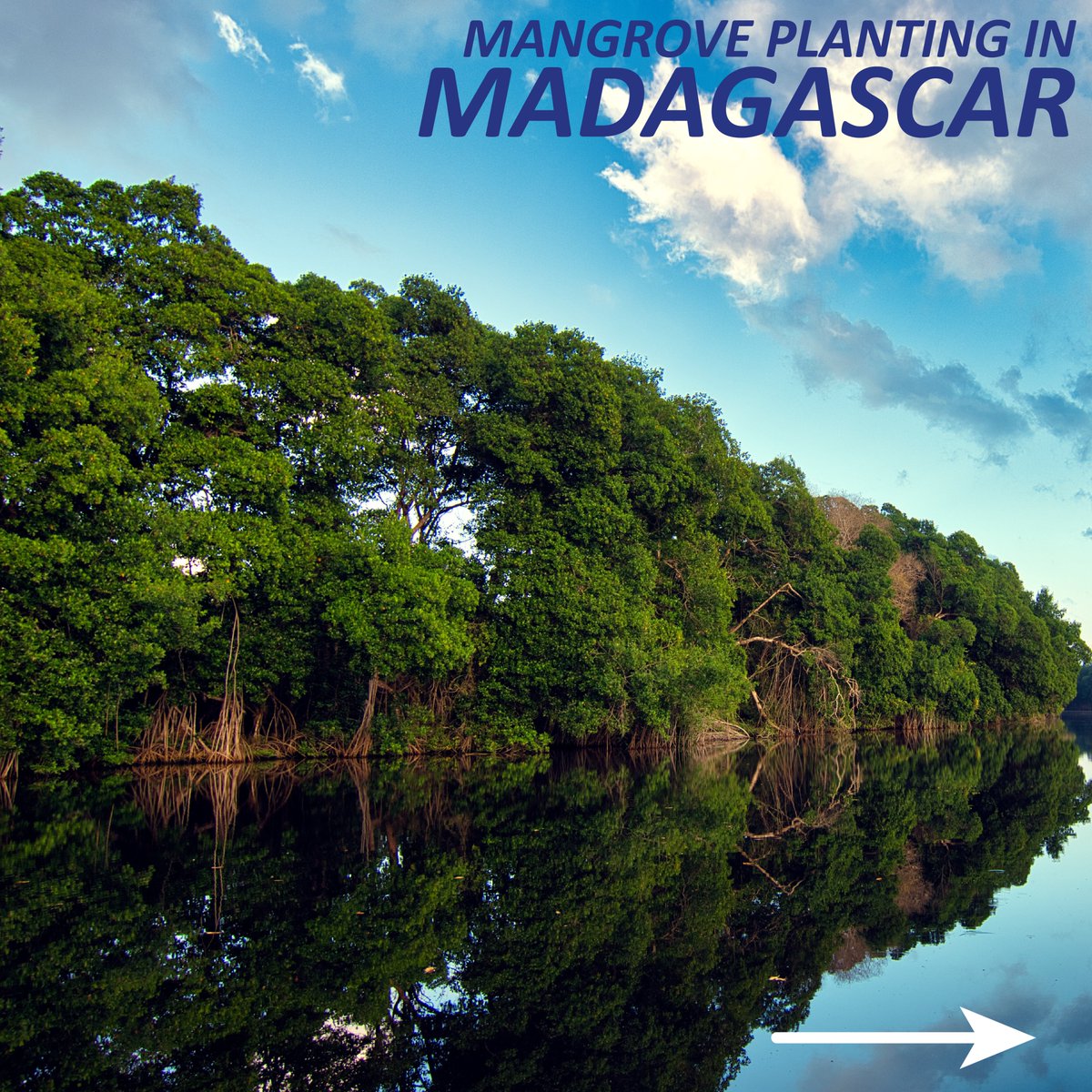 Crane Electronics tweet media