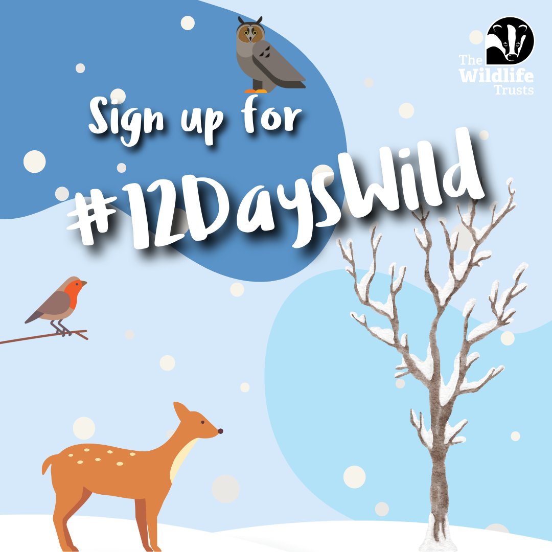 CBMWC News (@cbmwc) on Twitter photo ❄️Sign-ups are open for the #12DaysWild Challenge! 🌲
✨ We’re challenging you to experience the magic of nature every day from Dec 25th until Jan 5th 📅
Sign up now and make your winter wild! 👉 ow.ly/UGeB50UfLnn
<a href="/WTSWW/">WildlifeTrustSWWales 🦡🐬</a> ❄️Sign-ups are open for the #12DaysWild Challenge! 🌲
✨ We’re challenging you to experience the magic of nature every day from Dec 25th until Jan 5th 📅
Sign up now and make your winter wild! 👉 ow.ly/UGeB50UfLnn
<a href="/WTSWW/">WildlifeTrustSWWales 🦡🐬</a>