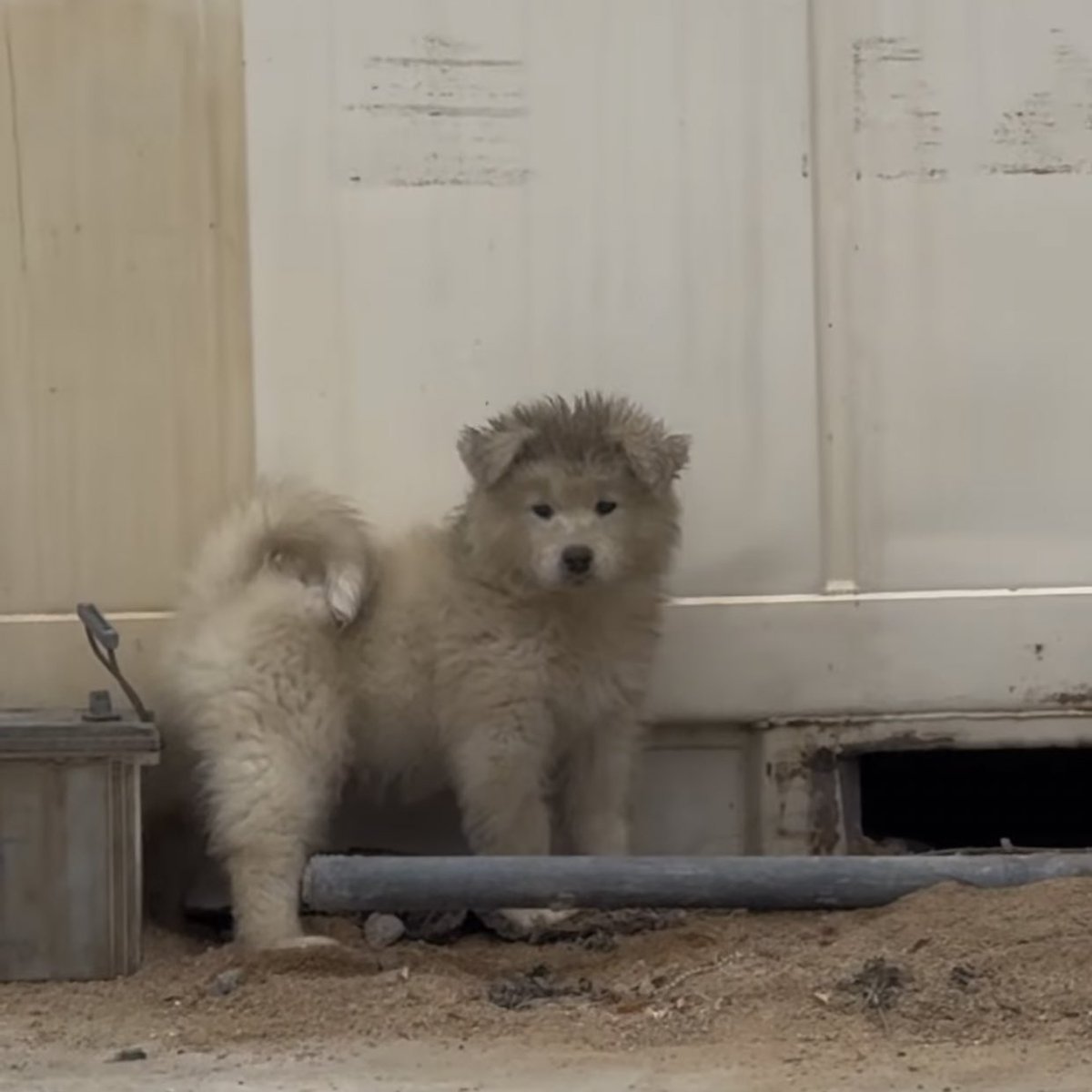 ลูกคุณหนูลองใช้ชีวิตด้วยตุวเองวันแรก