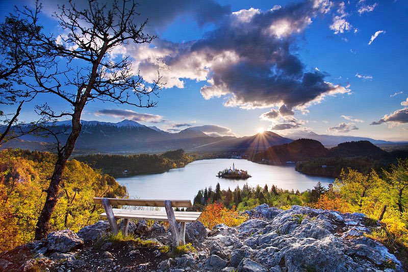 traveltipsx's tweet photo. Lake Bled is a postcard-perfect gem in Slovenia, surrounded by the Julian Alps and known for its fairytale beauty. 🏞️ Its emerald-green waters are home to Bled Island, where you’ll find a charming 17th-century church. Tradition says ringing the church bell brings good luck—so don’t miss it! 🔔

Towering above the lake is Bled Castle, a medieval fortress offering breathtaking views of the lake and surrounding mountains. For an unforgettable experience, rent a traditional pletna boat to reach the island, or hike up Ojstrica for the most iconic photo spot.

Lake Bled isn’t just famous for its stunning views—it’s also the birthplace of the mouthwatering kremšnita, or Bled Cream Cake! 🍰 This local dessert features layers of flaky puff pastry, creamy custard, and whipped cream, topped with powdered sugar.

Tip: Visit in early morning for calm waters and fewer crowds. Whether you’re paddling, hiking, or simply relaxing by the shore, Lake Bled is a magical destination that feels straight out of a storybook. 

#Slovenia #LakeBled