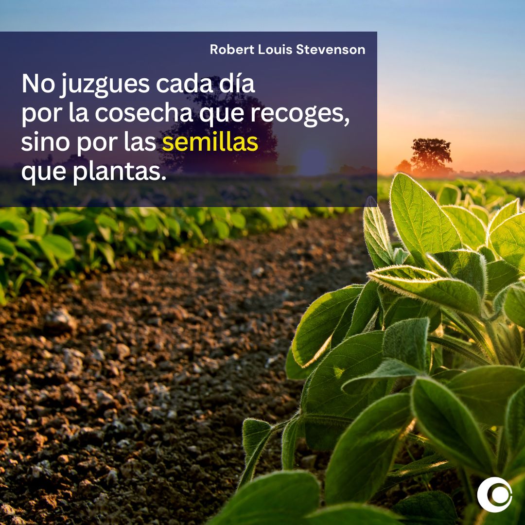 categoricagt's tweet photo. Cada día que vivamos, a dondequiera que vayamos, recordemos que es más importante lo que damos a otros 🤲, que lo que conseguimos.

Como empresarios, preguntémonos:
¿Cómo puedo servir hoy a otros? 🎯

¡Feliz semana le desea Categórica! 💙

#categórica #empresasguatemala https://t.co/3zCGTD1mER