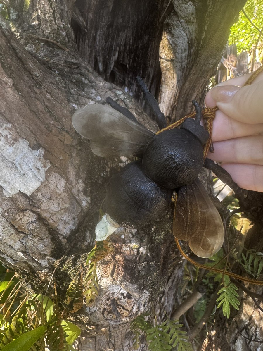 MelsMisadventures tweet media