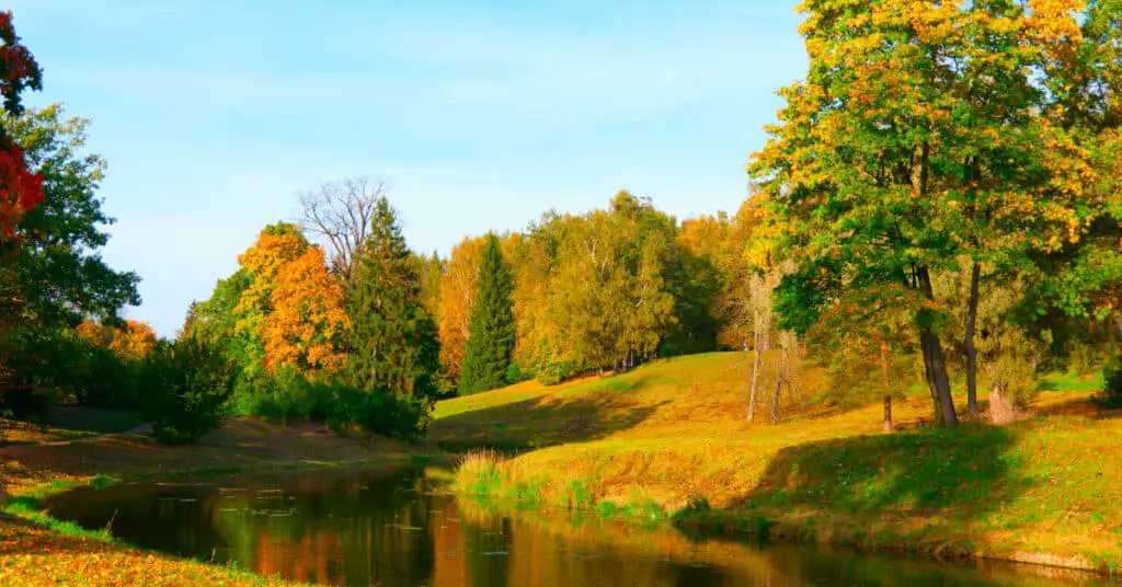 ENCExplorer's tweet image. 🎣 Fishing at the Neuse River is a peaceful way to spend the day in Kinston—and it’s free! Grab your gear and enjoy. 🌊 #KinstonOutdoors #BudgetFun rfr.bz/te93d67