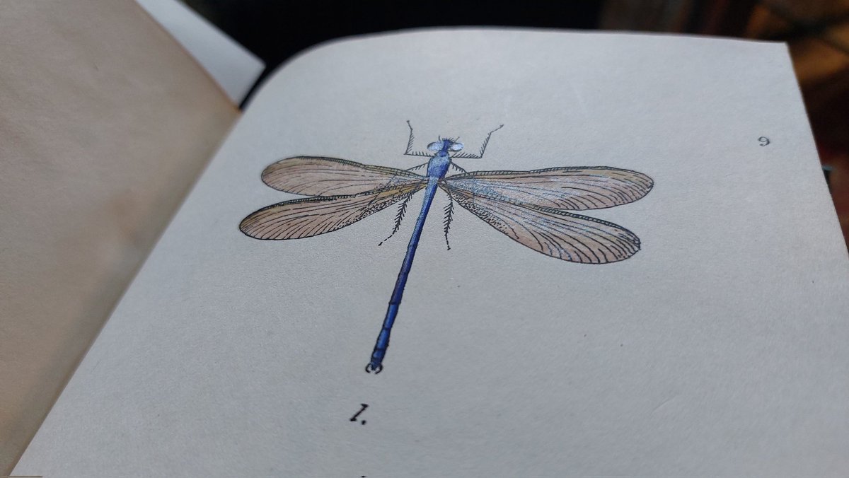 Emma Rothwell tweet media