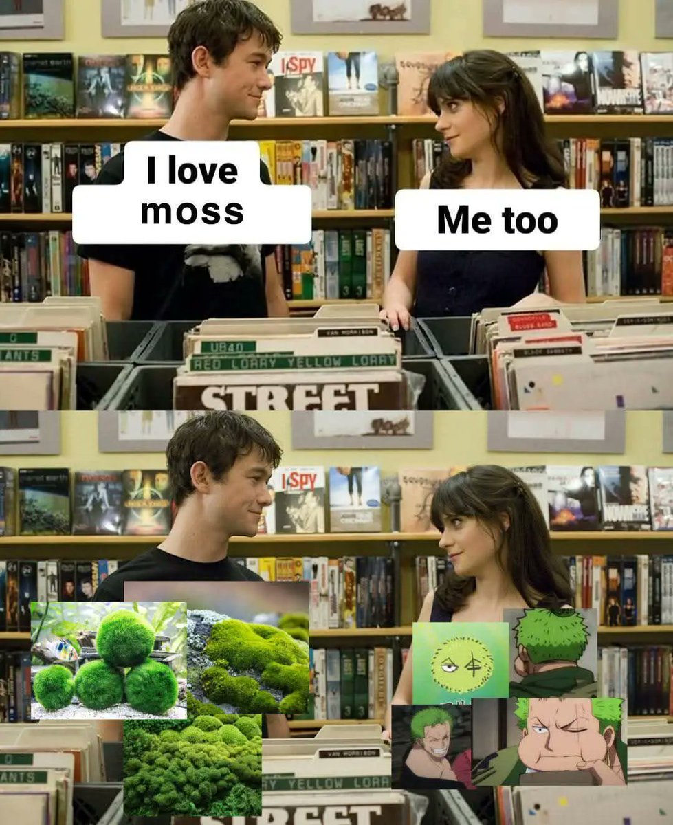 DailyOPMemes's tweet photo. Anime : One Piece https://t.co/f70Exnoebm