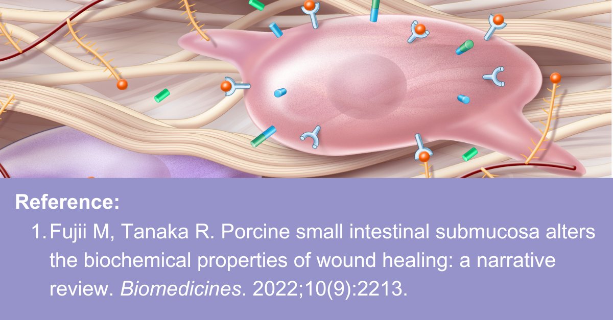 Cook Biotech Inc (@cook_biotech) on Twitter photo Researchers at Juntendo University School of Medicine in Tokyo, Japan, review the components of small intestinal submucosa (SIS) that support its effective use for wound healing. (1)
hubs.li/Q02YM2SW0 Researchers at Juntendo University School of Medicine in Tokyo, Japan, review the components of small intestinal submucosa (SIS) that support its effective use for wound healing. (1)
hubs.li/Q02YM2SW0
