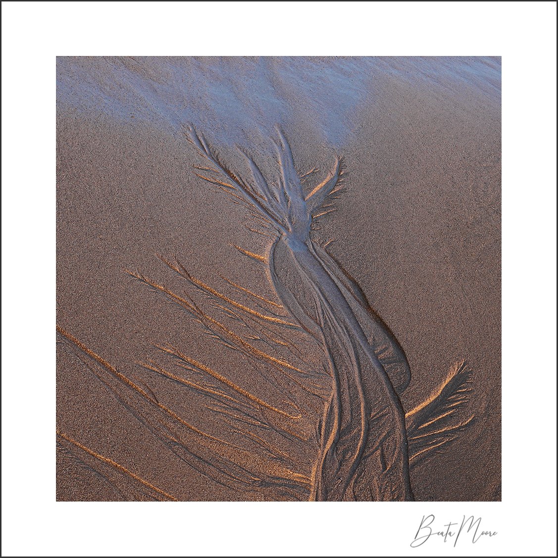 Beata Moore (@beam00re) on Twitter photo The joy of a low tide, when the receding water creates amazing patterns! The late afternoon offered soft light, but there was still a bit of a reflected blue colour contrasting with the yellow. <a href="/CanonUKandIE/">Canon UK and Ireland</a> @Benro_UK The joy of a low tide, when the receding water creates amazing patterns! The late afternoon offered soft light, but there was still a bit of a reflected blue colour contrasting with the yellow. <a href="/CanonUKandIE/">Canon UK and Ireland</a> @Benro_UK