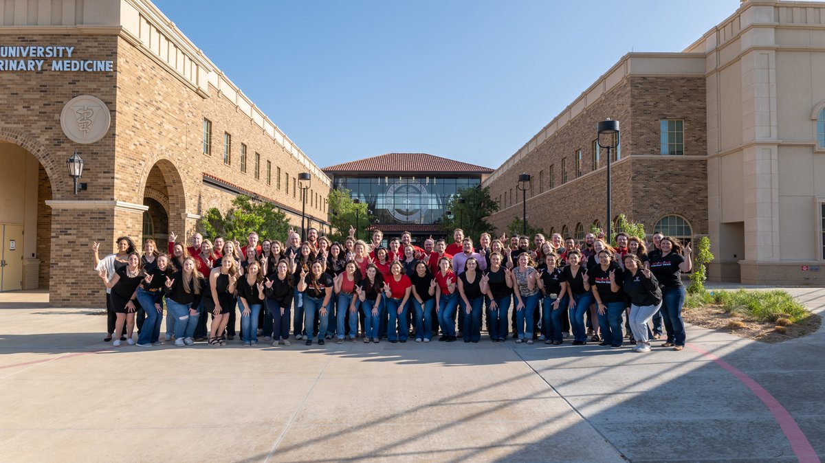 TTUVetMed's tweet photo. Time for our 4th year RaiderVets to slay the NAVLE!

During the next few weeks our RaiderVets will be taking their licensing exam.

Goodluck RaiderVets! You got this!

Wreck ‘Em Tech

#TTUVetMed https://t.co/DjNXSuS7TM