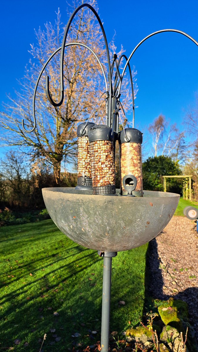 Ben Gilg tweet media