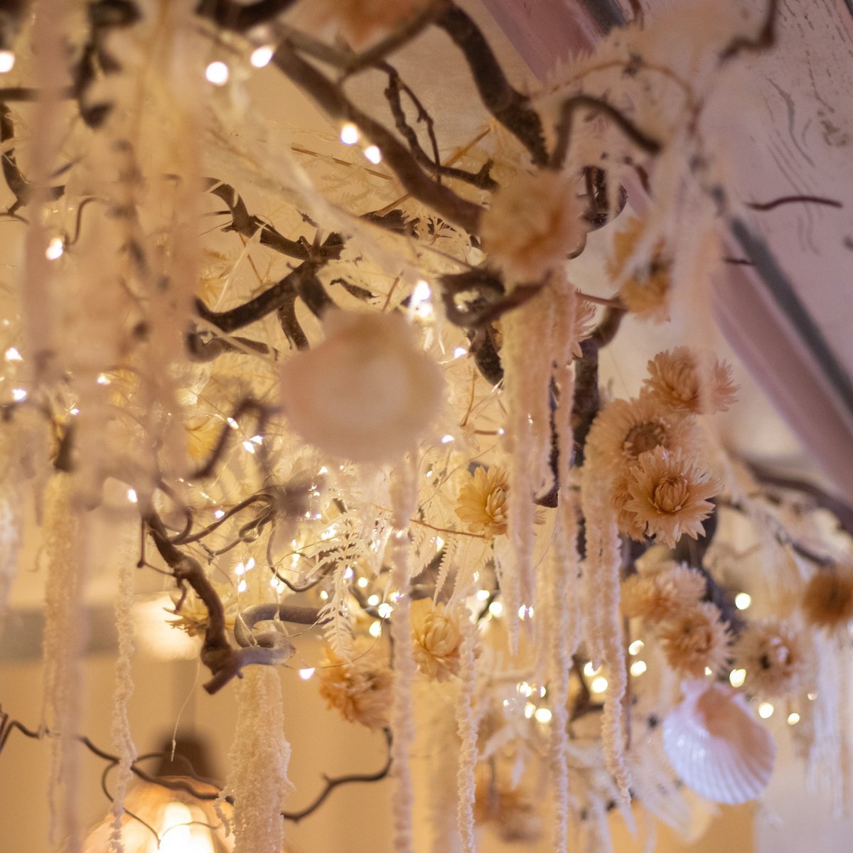 Rachel (Blossom &amp; Kelp) has been busy changing our Autumn foliage display to a fresh, white winter theme! 📷