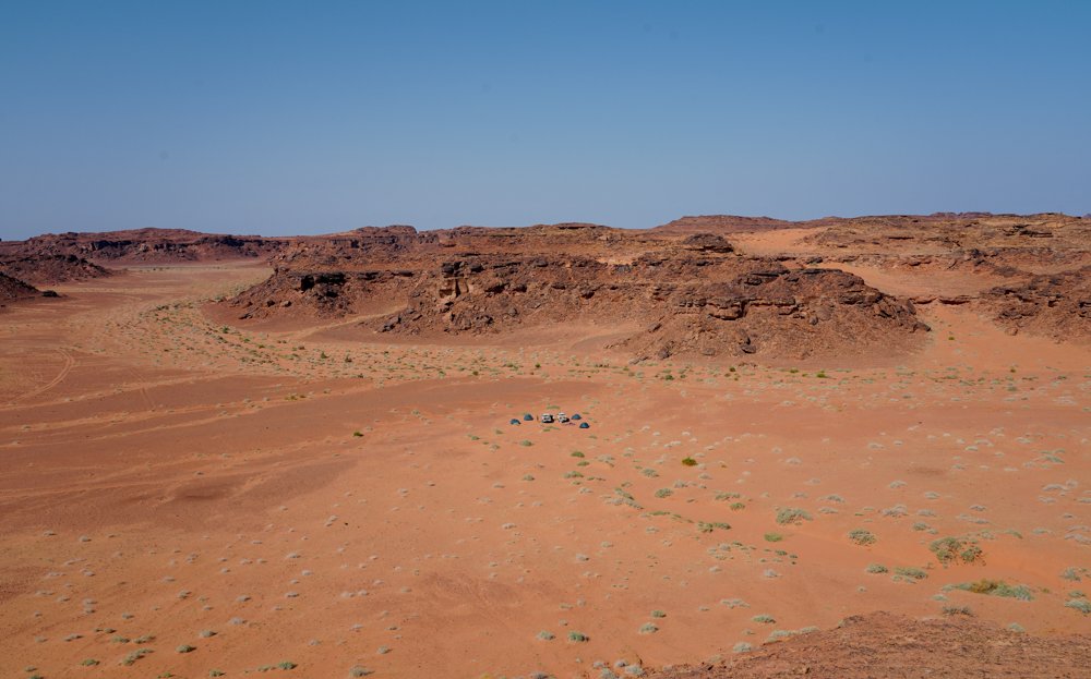 Biodeserts tweet media