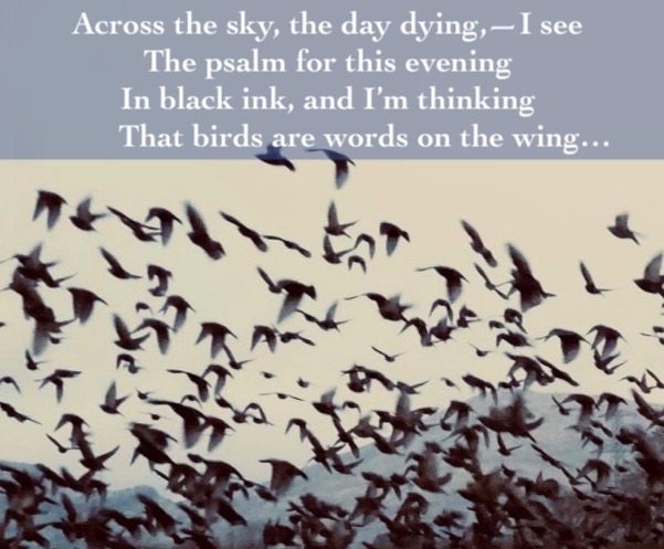 psalm for this evening...