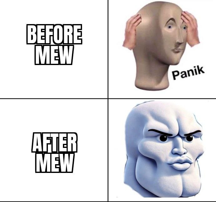 MEWING SNOWMAN tweet media