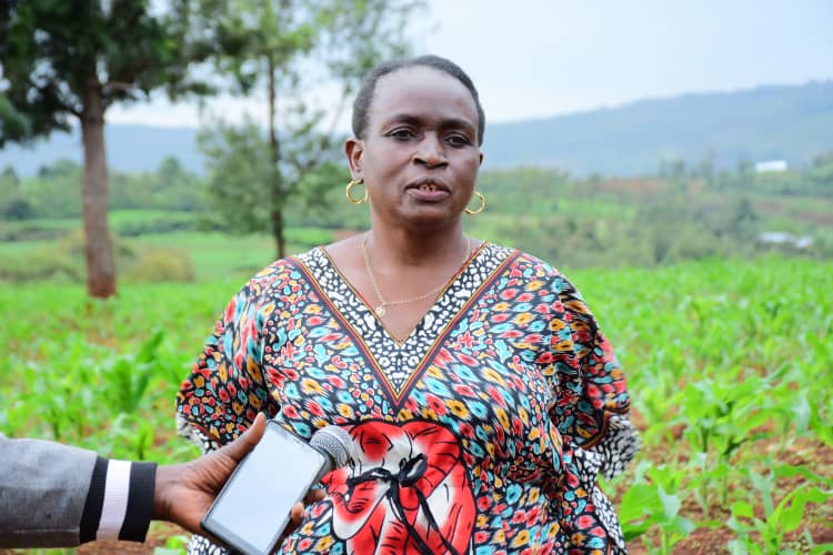 Burundi_senat's tweet photo. #Burundi: En compagnie d'un sénateur élu dans la circonscription de @MwaroProvince, le 1er Vice-président du @Burundi_senat, Hon. Denise Ndadaye, a visité un micro barrage hydroélectrique, en construction, sur la rivière Cinwera, située dans la zone Munago, commune @Nyabihanga. Ce projet est une initiative de deux techniciens, natifs de cette localité, dans le but de contribuer au développement communal.

Hon. Ndadaye a remercié les initiateurs de ce projet et les a encouragés à initier d'autres projets de ce genre. Elle a contribué un million de francs burundais pour la continuité des travaux. 

Le 1er Vice-Président de la Chambre Haute du Parlement a ensuite visité ses projets agricoles dans la @Com_Kayokwe : un champ de pommes de terre, qui s'étend sur 1 hectare, sur la colline Gihinga, et celui de maïs se trouvant sur une superficie de 2 hectares, sur la colline Rutyazo. Elle a indiqué que ces projets s'inscrivent dans le cadre de la multiplication des semences.