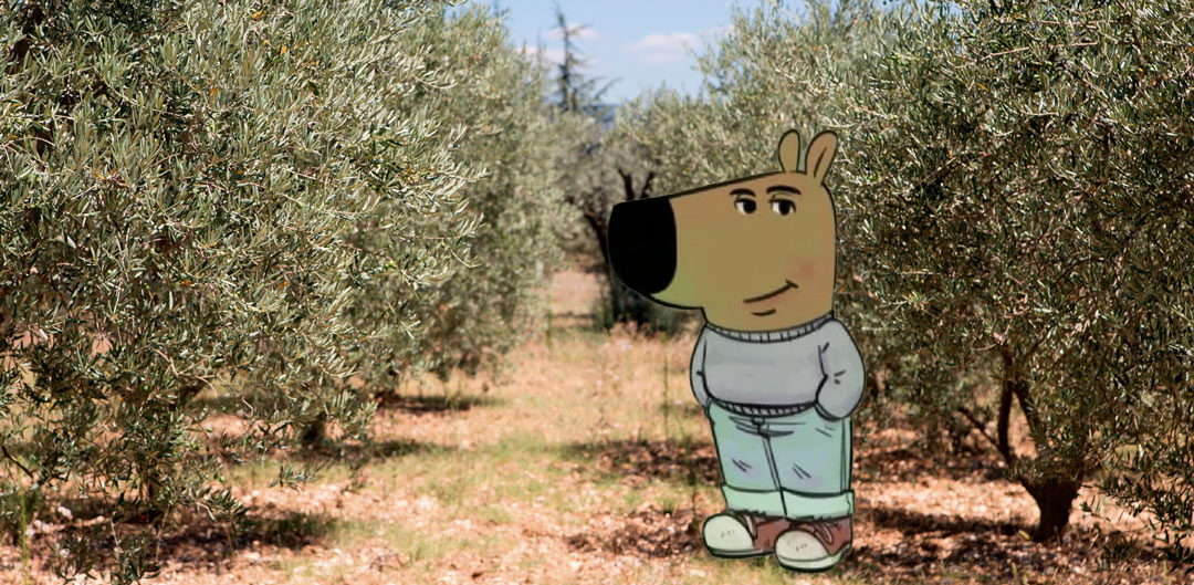 adirecto's tweet image. 