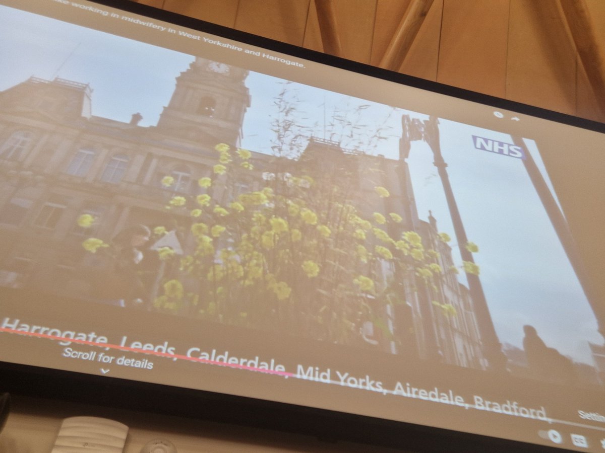 Safina Akhtar (@safinaakhtar10) on Twitter photo 