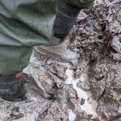 mudmasterwaders's tweet image. #NewProfilePic