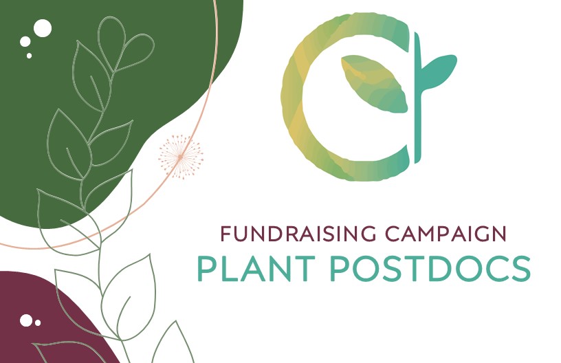 Happy Thanksgiving week! ☘️🌾🍀

We are thankful for the constant support of the plant biology community since our launching in 2019. 

Plant Postdocs has started the fundraising initiative through Go Fund Me. We really appreciate your support. 

gofundme.com/f/donate-to-em…