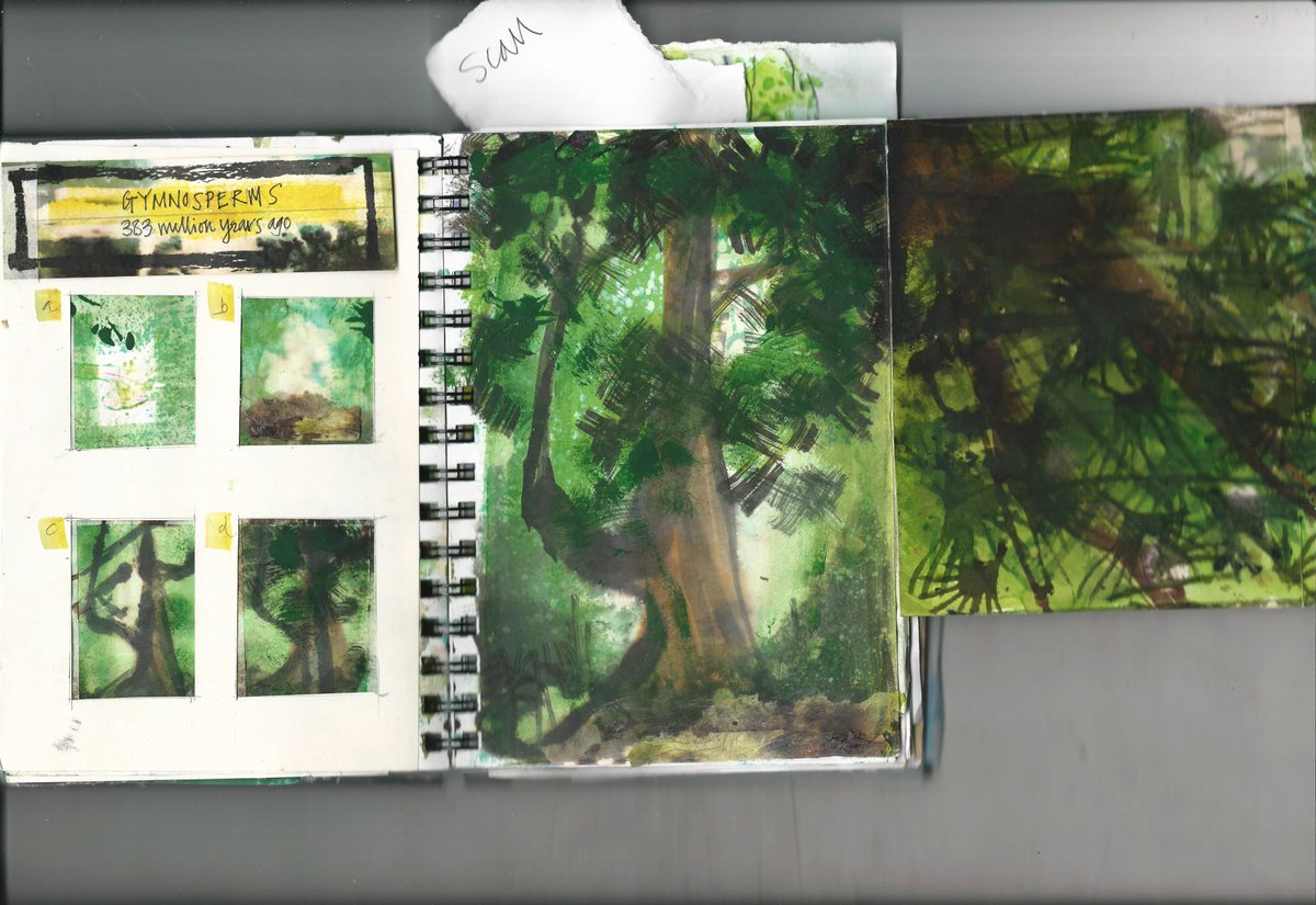 CUBotanicGarden's tweet photo. 🌿Our Communities Team have been getting creative in the Garden in celebration of 470 million years of plant evolution! Members of the #CommunityGroup @MakeDoAndMendEU went on a 6 week creative journey over the summer with local artist Annabel Lee. [1/4] https://t.co/ry6PJsVaaw
