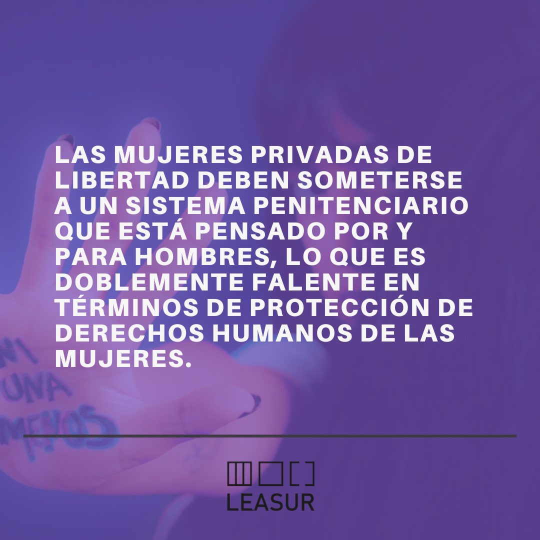 Leasur ONG (@leasurong) on Twitter photo 