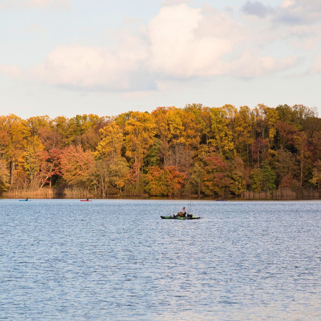 JohnCarneyDE's tweet image. Today all @DEStateParks have waived entrance fees. Find an outdoor adventure at destateparks.com. 
#OptOutside 🌳