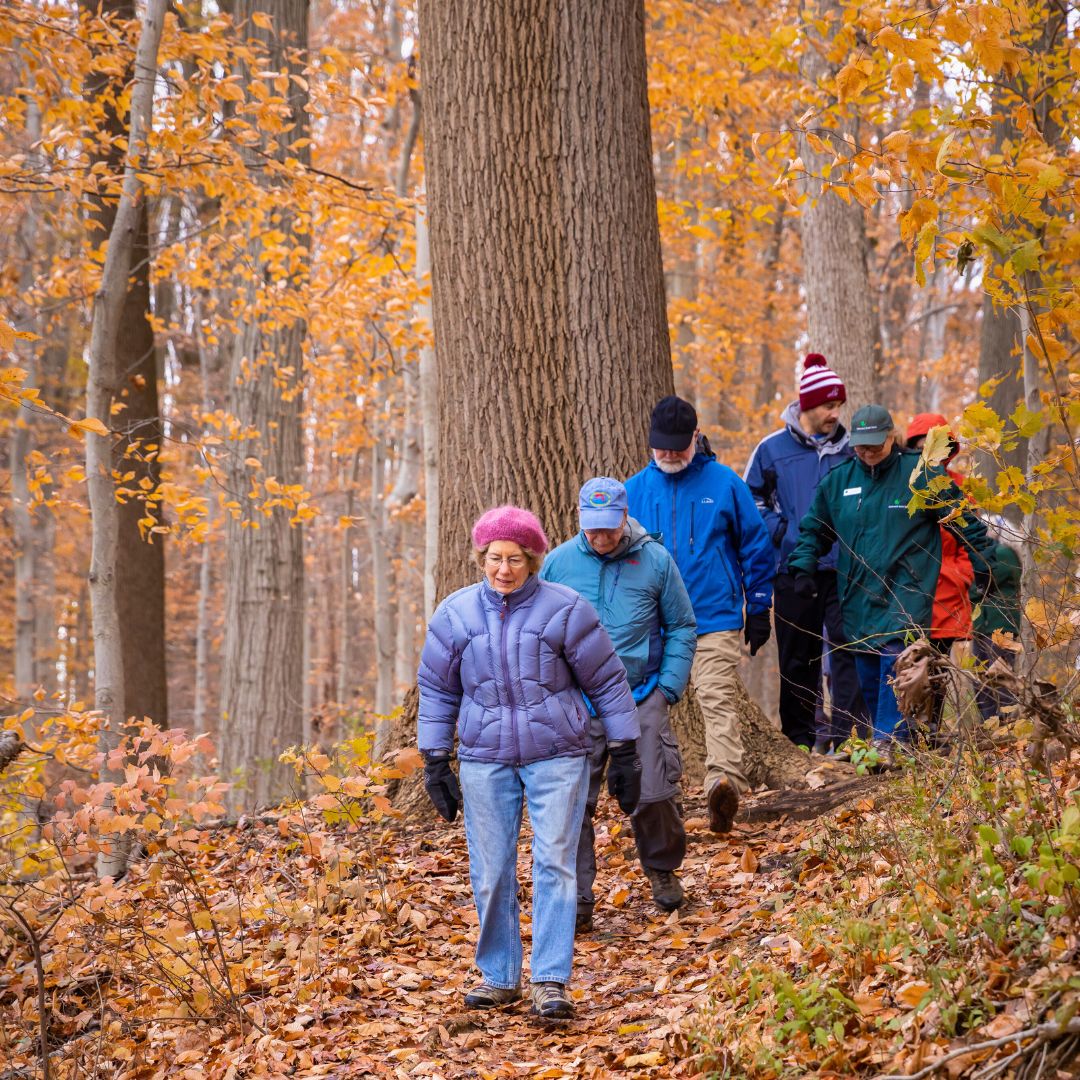 JohnCarneyDE's tweet image. Today all @DEStateParks have waived entrance fees. Find an outdoor adventure at destateparks.com. 
#OptOutside 🌳