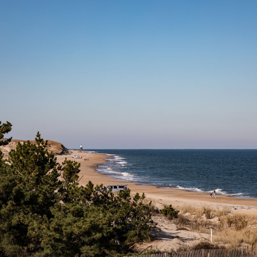JohnCarneyDE's tweet image. Today all @DEStateParks have waived entrance fees. Find an outdoor adventure at destateparks.com. 
#OptOutside 🌳