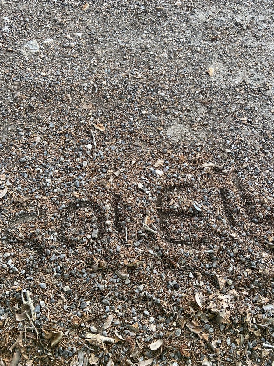 soleil 🤫🫴 je suis sdf tweet media