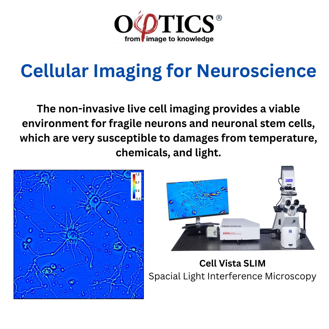 phioptics's tweet image. Quantitative phase imaging revolutionizes the way we study neurons.
 #QuantitativePhaseImaging #Neuroscience #NeuroImaging #CellBiology #NeuralStudies #Microscopy #NeuralImaging #phioptics

phioptics.com
