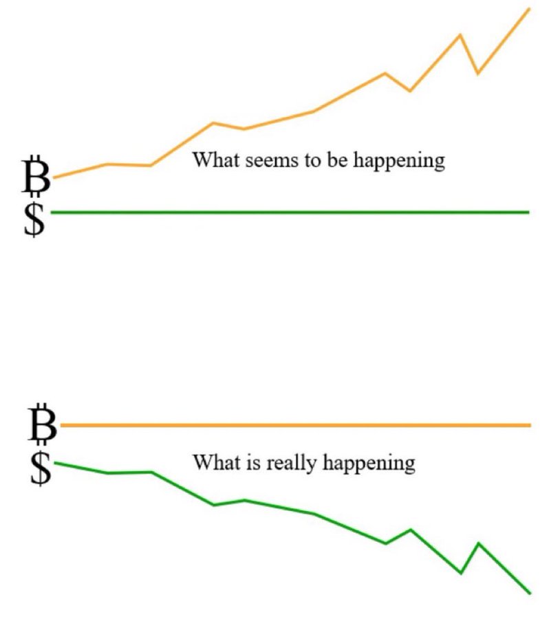 Bitcoin isn't booming. The fiat world is collapsing. Everything is more expensive when measured in fiat because it is infinite. There is no reason for me to ever buy fiat with bitcoin when I can simply exchange it with anyone unencumbered by any third party.