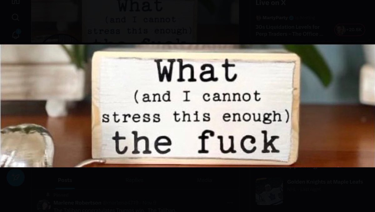 The Democrats ‘REALLY’ .. F*ck’d Up

I’m as ANTI ‘the orange manchild’ … as they come

However

Damn❗️

A HUGE political mistake by the idiots in the #Democratic party who thought this move, was a good idea

4 min
youtu.be/uCmczuNlcTk?si…

#geopolitics #tesla