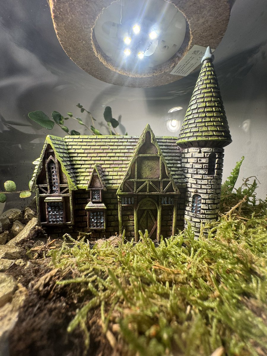 Coaster Rob tweet media