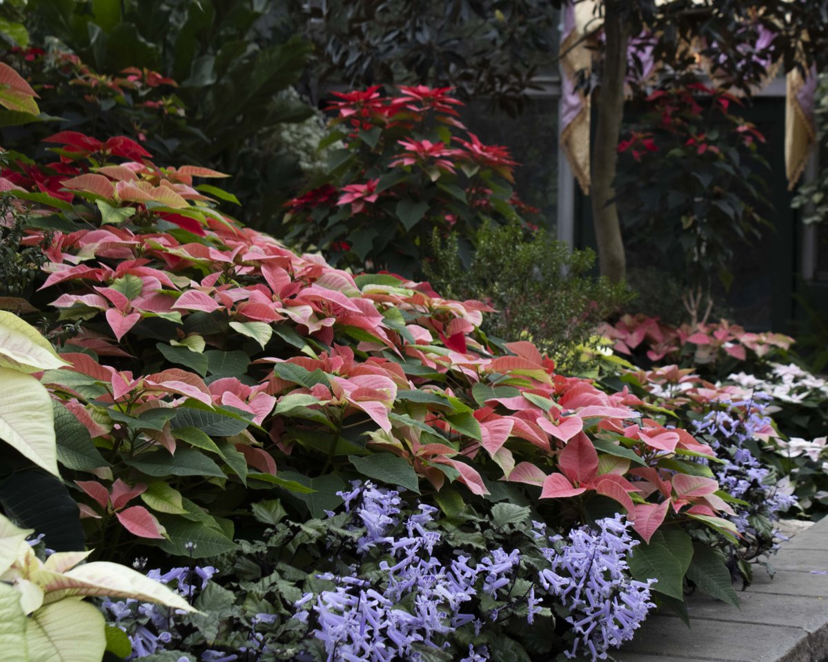 Lincoln Park Conservancy tweet media