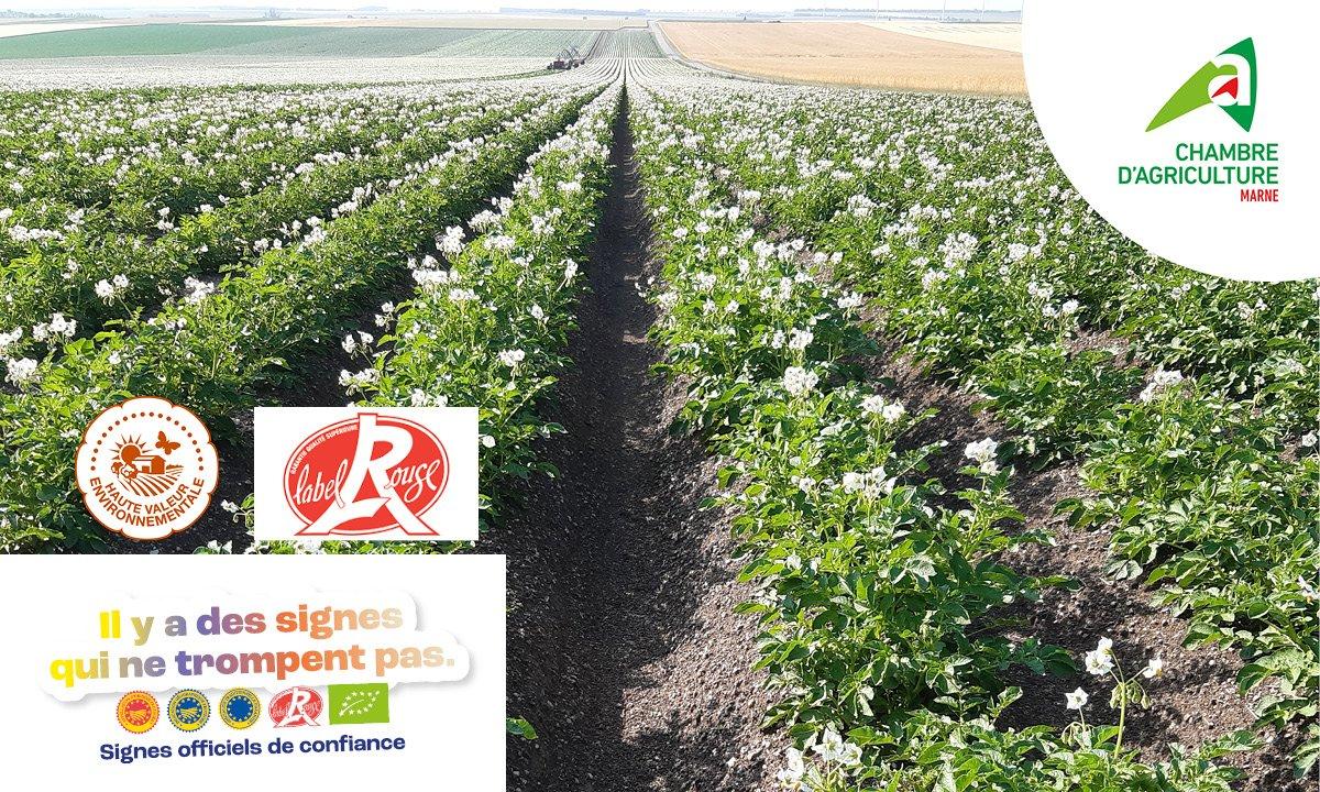 Julien Legrix tweet media