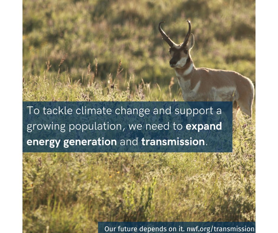 We are excited to announce two new reports about putting wildlife &amp; biodiversity first when planning new #cleanenergy transmission projects! 🦌🔌

Learn more 📲: ow.ly/O3K350UfMWX
