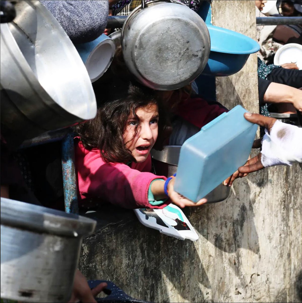 If you have to use the starvation of women and children to achieve your goals then you’ve already lost in ways that you cannot imagine

#Peace #Palestine #Gaza #ICC #Women #Children