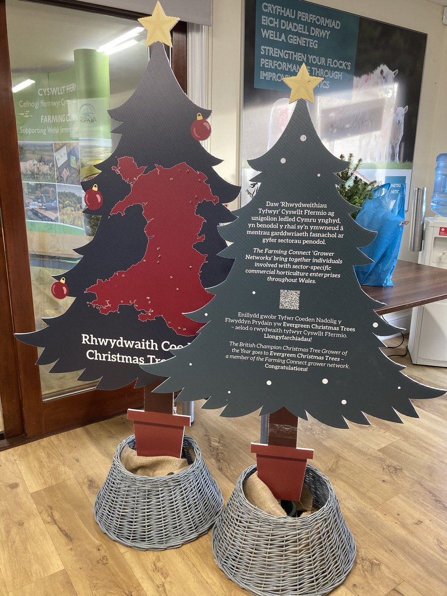 Elysia (@elysiabartel) on Twitter photo Come and say hi to me at the #welshwinterfair we are offering free business support for Welsh growers through the <a href="/FarmingConnect/">Farming Connect</a> Horticulture programme and creating grower networks for #ChristmasTrees and #IPM Come and say hi to me at the #welshwinterfair we are offering free business support for Welsh growers through the <a href="/FarmingConnect/">Farming Connect</a> Horticulture programme and creating grower networks for #ChristmasTrees and #IPM