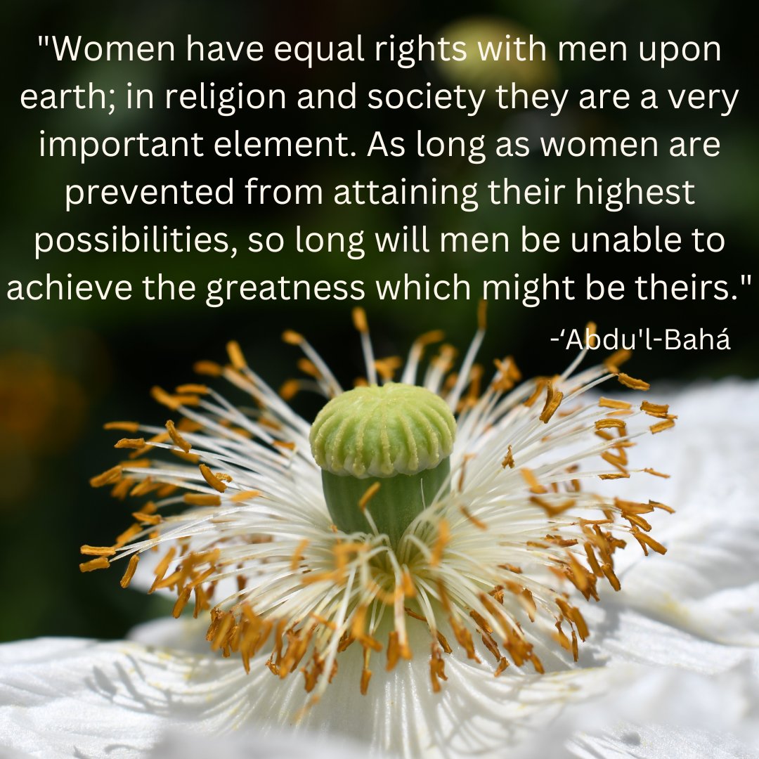 "Violence against women is a yardstick by which one can measure the violation of all human rights. It can be used to gauge the degree to which a society is governed by aggressivity, dominated by competition and ruled by force. Abusive practices against women have frequently been