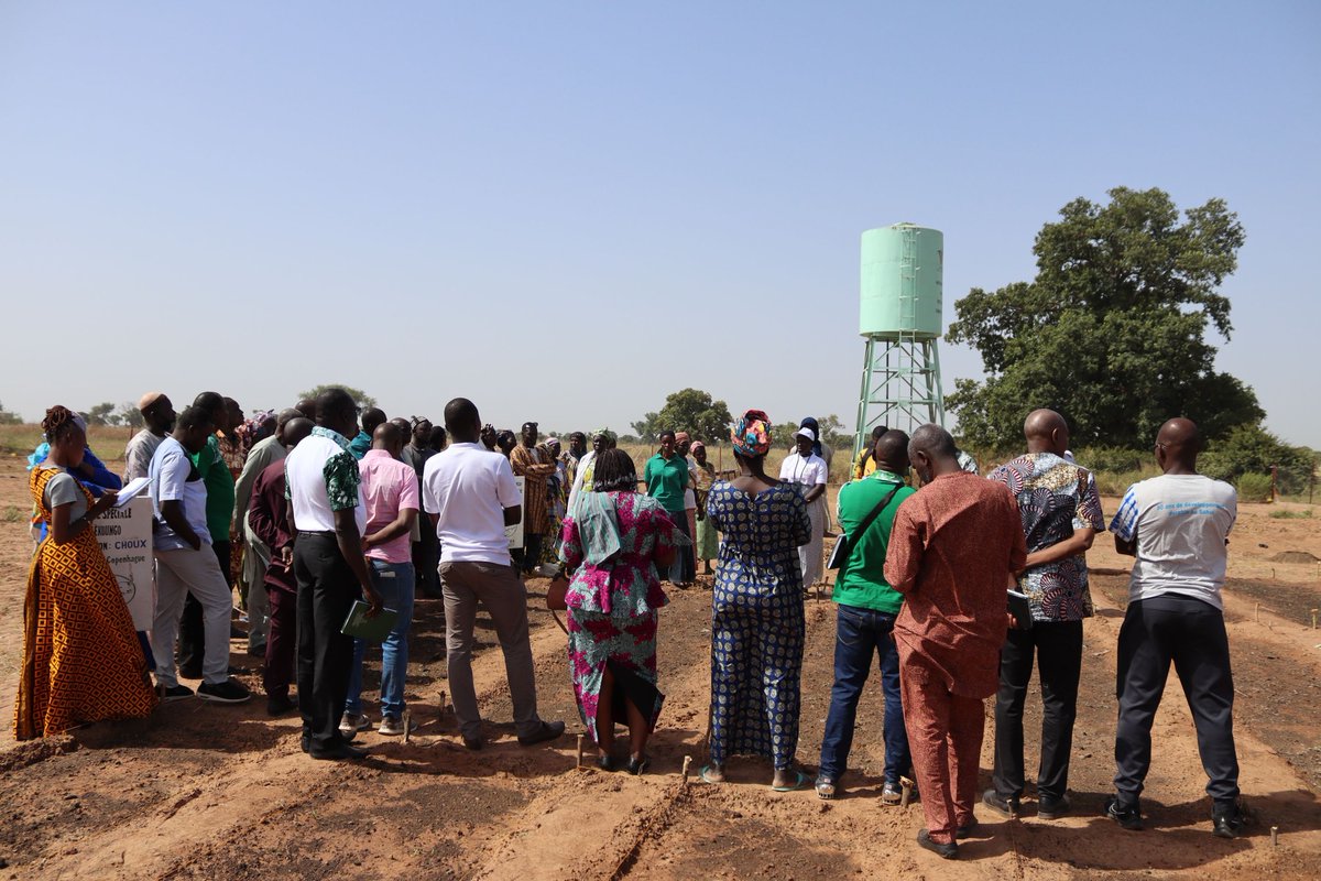 Pro-ARIDES tweet media