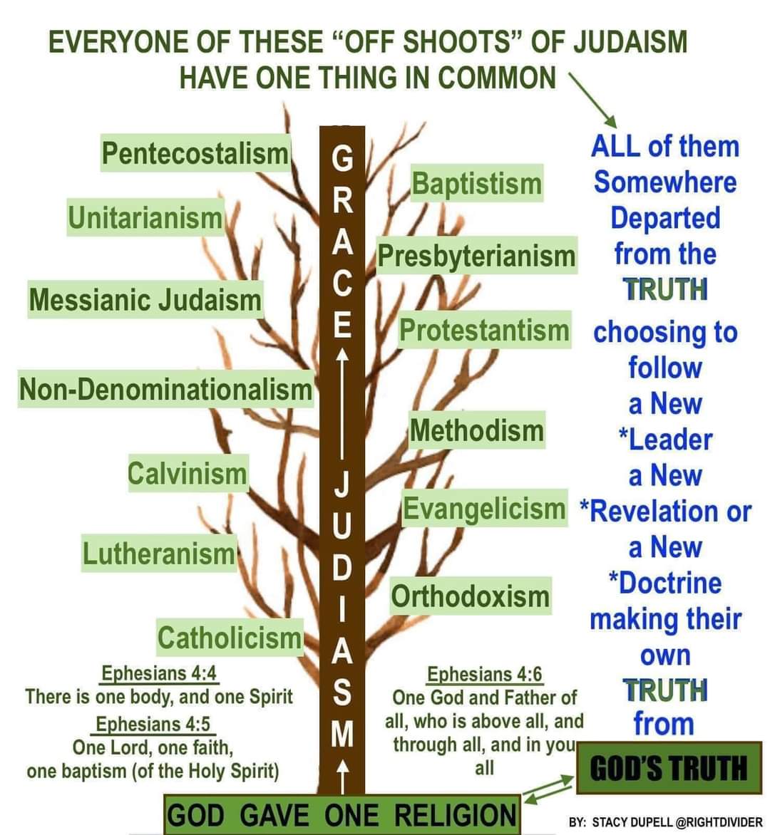 MIDACTS9 (@midacts9) on Twitter photo 