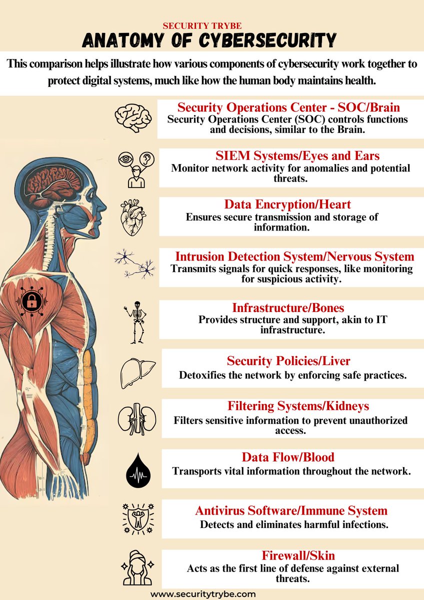 Anatomy of Cybersecurity